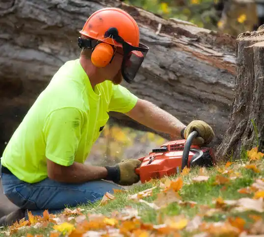 tree services Port Washington